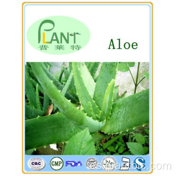 Fuente de fábrica Pure Planta Natural Extractos Extracto de Aloe